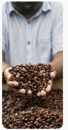 Hands holding roasted beans